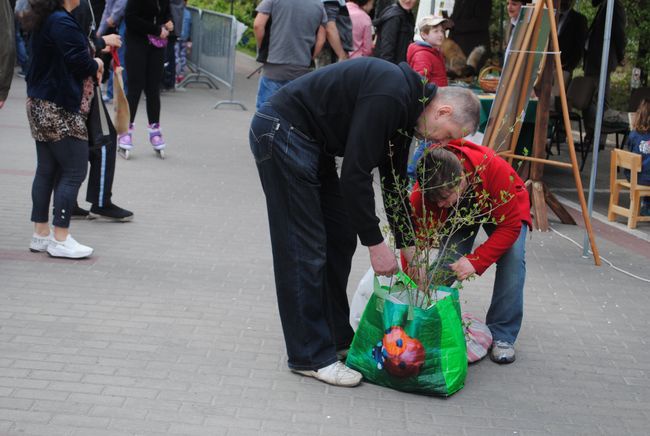 Drzewko za makulaturę