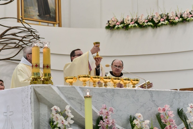 Niedziela Miłosierdzia Bożego w Łagiewnikach 2019 - cz. 2