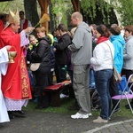 Msza św. pielgrzymów łagiewnickich w Hałcnowie - 2019