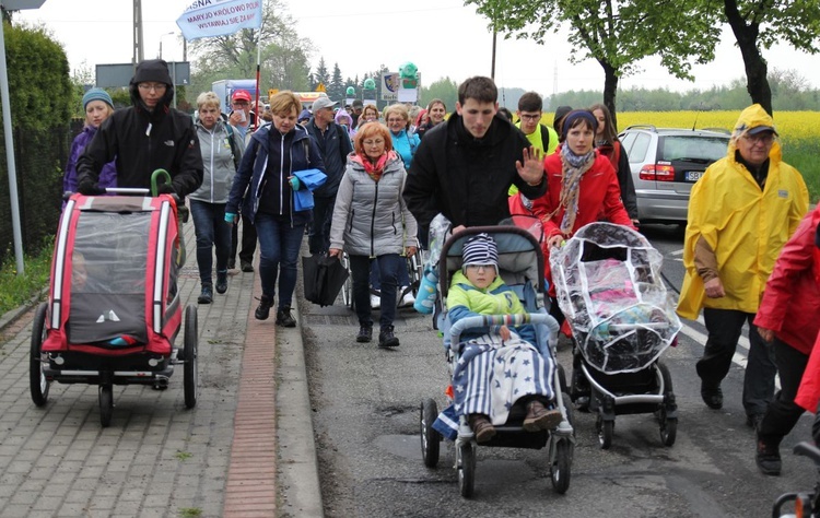 Grupa św. Maksymiliana - 2019