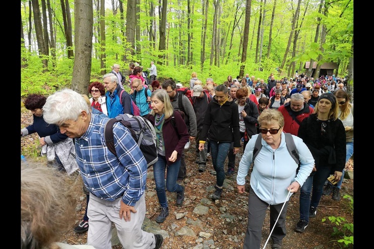 Ślężańska majówka 2019