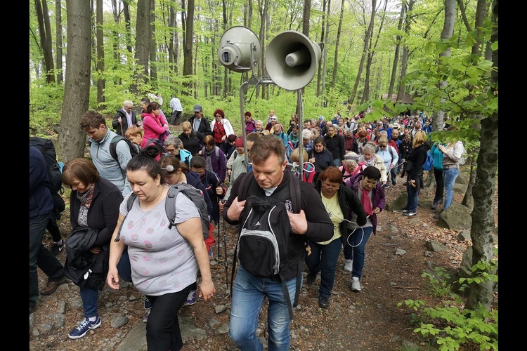 Ślężańska majówka 2019