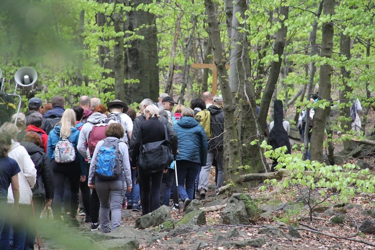 Ślężańska majówka 2019