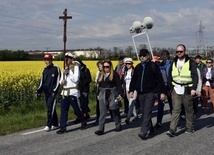 Po drodze pielgrzymi modlili się różańcem, Drogą Krzyżową czy Godzinkami do Matki Bożej.