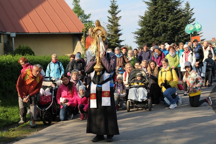 Z Witkowic do Wieprza - 2. dzień drogi do Łagiewnik - 2019