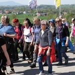 Adoracja Jezusa w drodze z Wieprza do Tomic - grupa bł. ks. M. Sopoćki