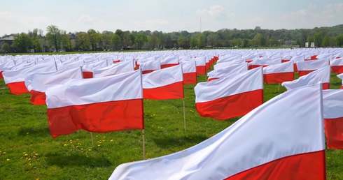 Kraków. Piknik "#Europejska małoPolska"
