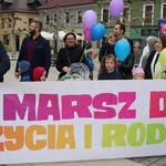 "Tak" dla życia i rodziny - kolorowy marsz w Pszczynie