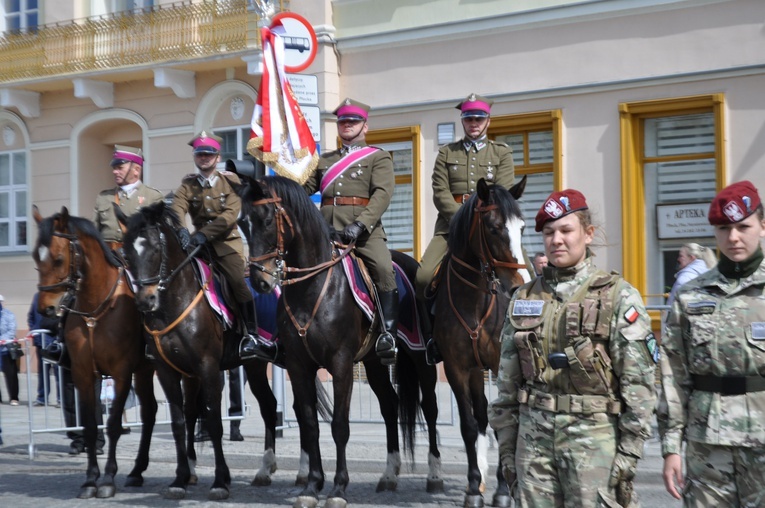 Obchody 3 maja w Płocku