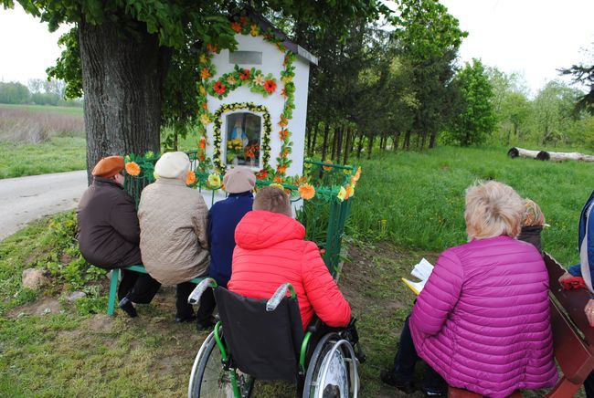 Majówka w Kępie Rudnickiej