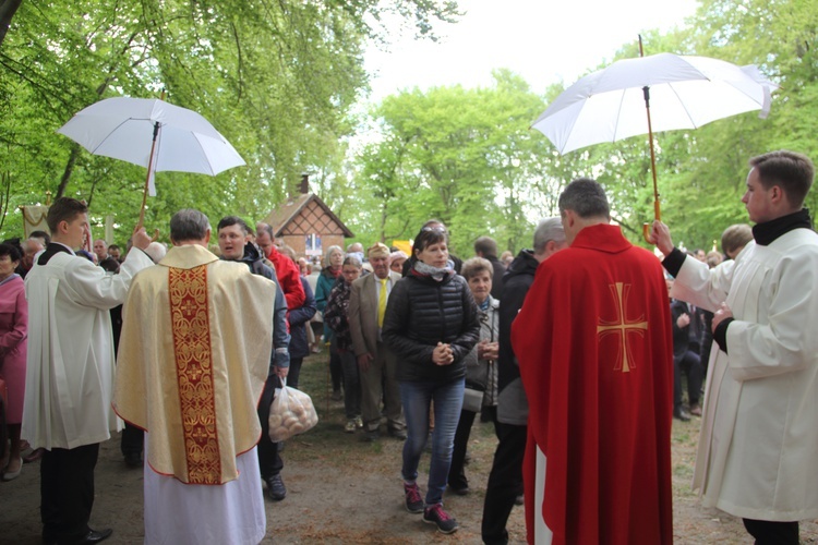 Święto patronalne archidiecezji gdańskiej