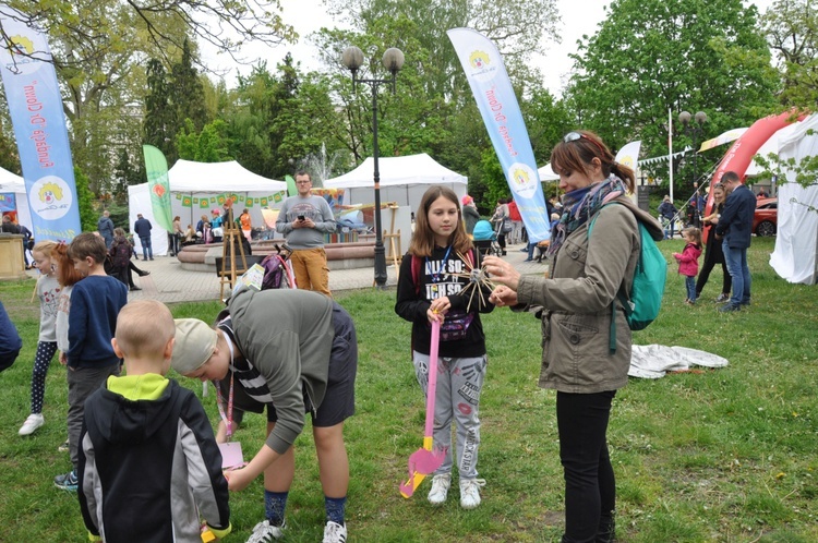 Festiwal Uśmiechu w Opolu