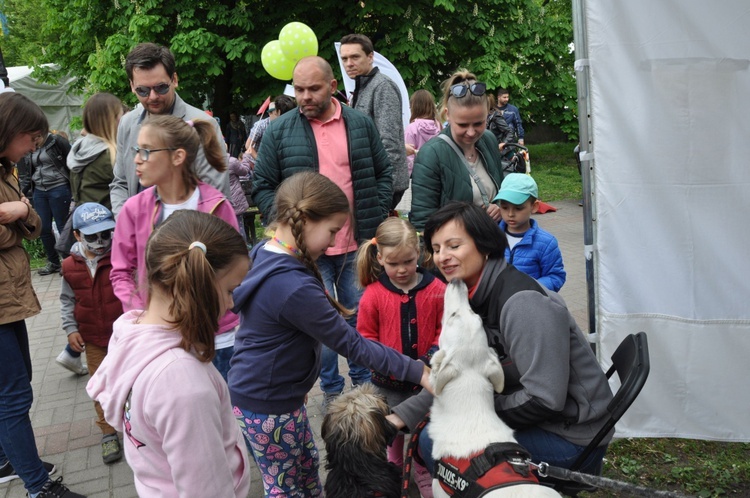 Festiwal Uśmiechu w Opolu