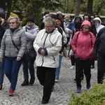 25. Piesza Pielgrzymka z Olszan do Strzegomia