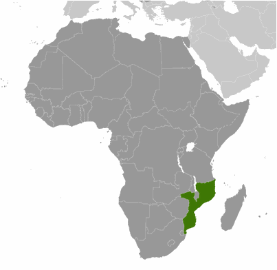 Świat milczy o atakach na kościoły w Mozambiku