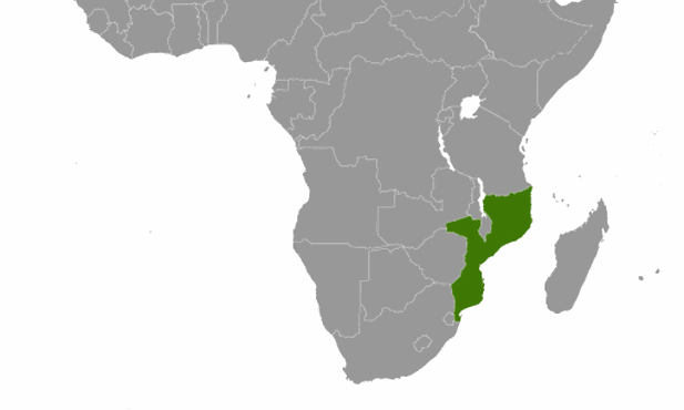 Świat milczy o atakach na kościoły w Mozambiku