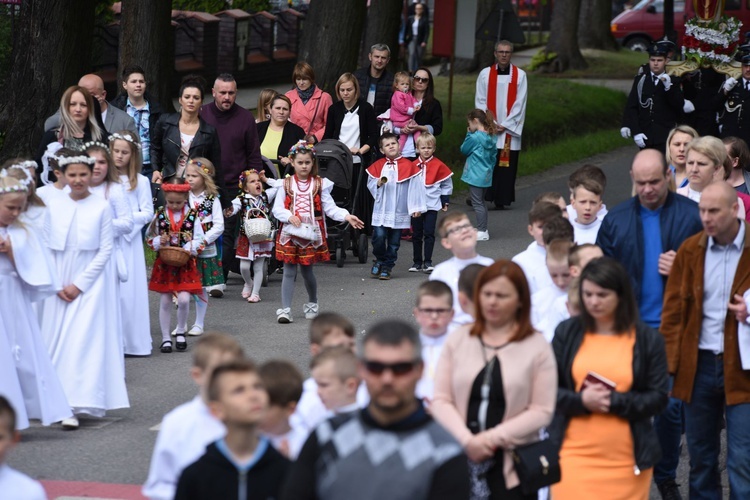 Procesja stanisławowska w Szczepanowie