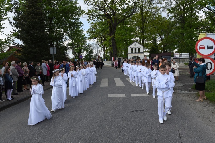 Procesja stanisławowska w Szczepanowie