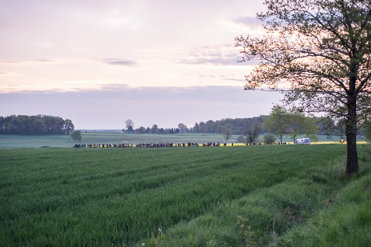 XVI Nocna Pielgrzymka z Piekar Śl. na Jasną Górę