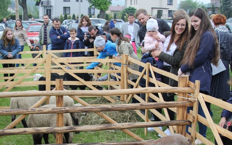 Niedziela Dobrego Pasterza w Kozach-Gajach