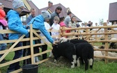 Niedziela Dobrego Pasterza w Kozach-Gajach