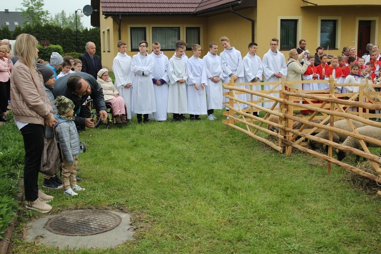 Niedziela Dobrego Pasterza w Kozach-Gajach