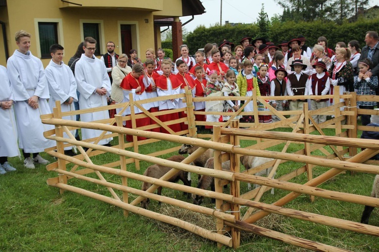 Niedziela Dobrego Pasterza w Kozach-Gajach