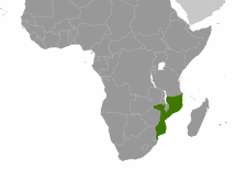 Humanitarne zagrożenie w Mozambiku trwa nadal