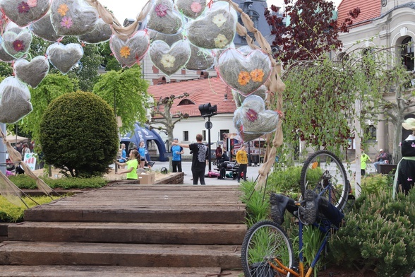 Ogrody na płycie rynku to jedna z największych atrakcji "Daisy Days".