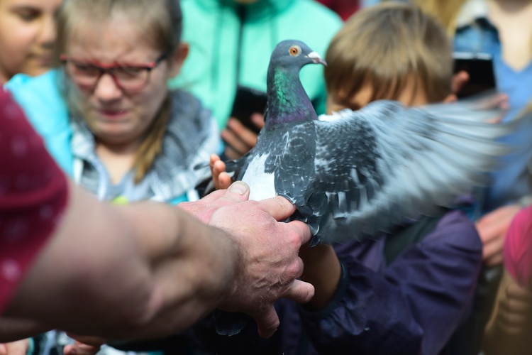 Pieniężno. VI Konkurs Plastyczny "Gdy myślę misje"