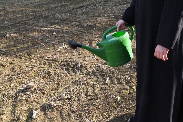 Siewcy Słowa - specjalna sesja zdjęciowa neoprezbiterów wrocławskich