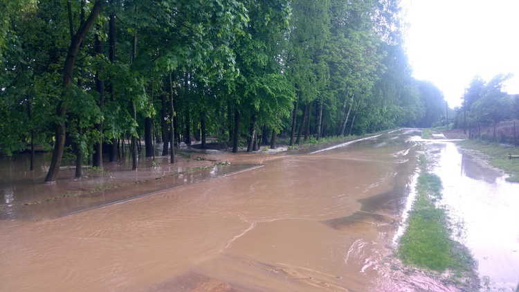 Trąba powietrzna przeszła nad gminą Wojciechów. Są ogromne straty