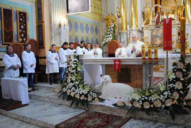 Dzień Godności w Janowie Lubelskim