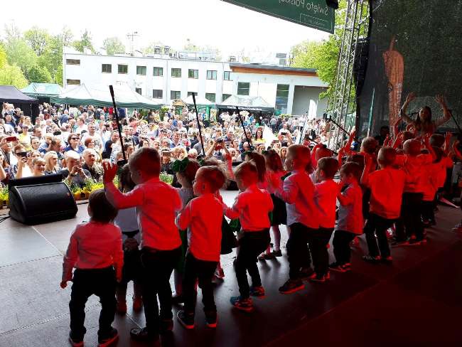 Z niezapominajką w tle