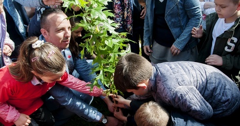Na następne stulecia. W Koszalinie posadzono dąb PCK