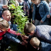 Na następne stulecia. W Koszalinie posadzono dąb PCK