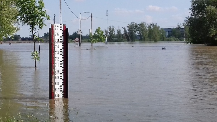 25 maja 2019 r. Wisła w Sandomierzu 