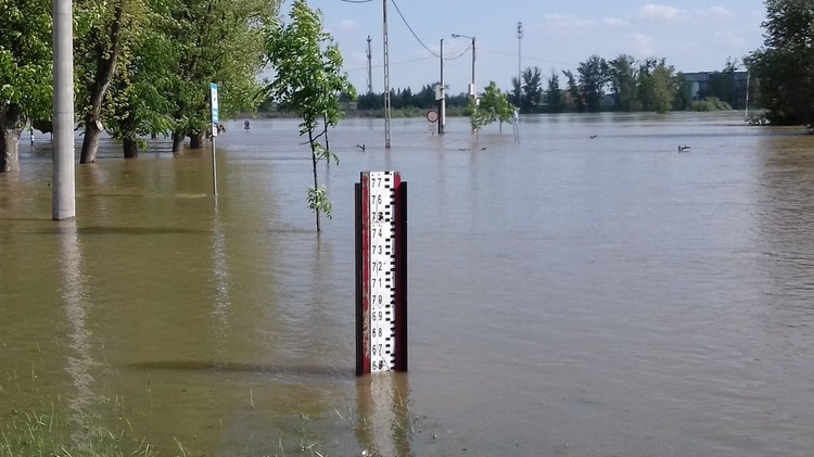 25 maja 2019 r. Wisła w Sandomierzu 