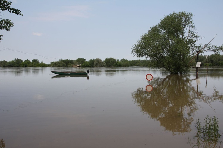 Fala kulminacyjna w Tarnobrzegu