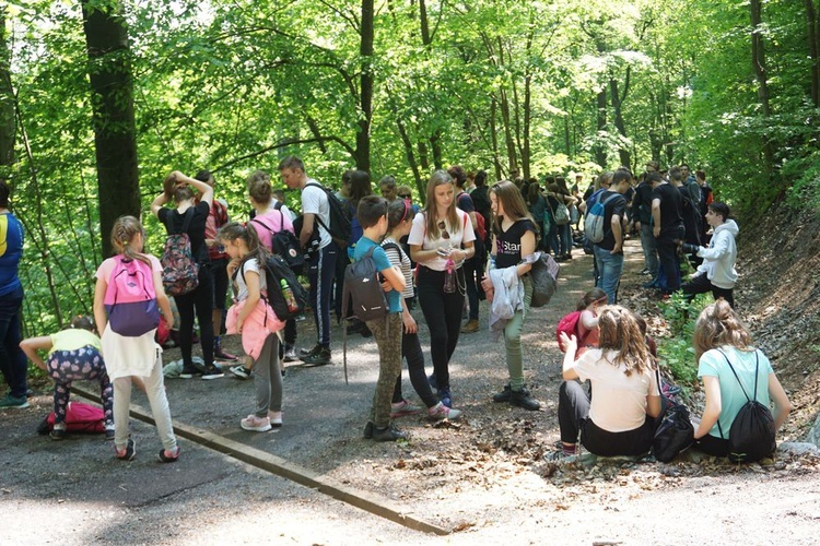 Pielgrzymka młodzieży na Chełmiec