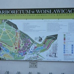 Maj w wojsławickim arboretum