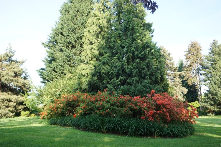 Maj w wojsławickim arboretum