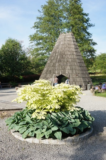 Maj w wojsławickim arboretum