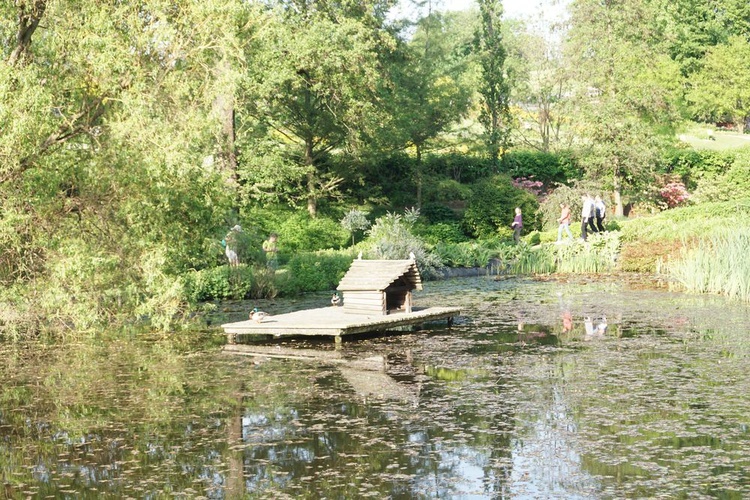 Maj w wojsławickim arboretum