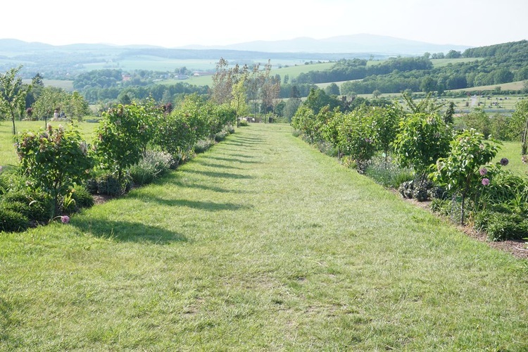 Maj w wojsławickim arboretum