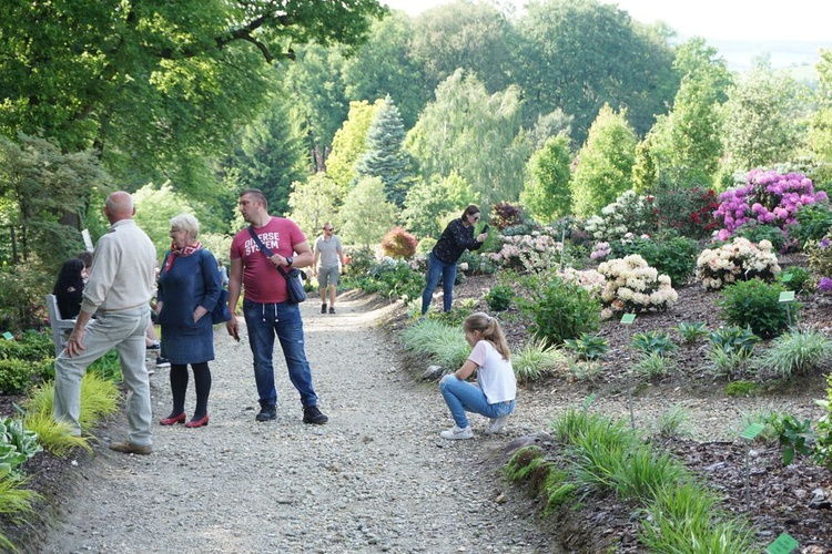 Maj w wojsławickim arboretum