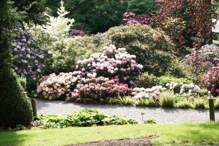 Maj w wojsławickim arboretum