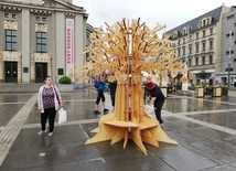Katowice: na Rynku "wyrosło" niezwykłe, klimatyczne drzewo