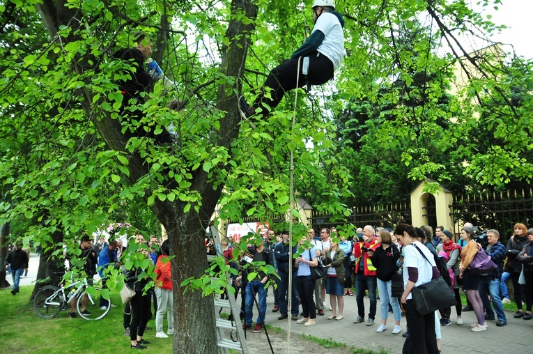 Protest przeciwko wycinaniu drzew w Lublinie i polityce urbanistycznej ratusza