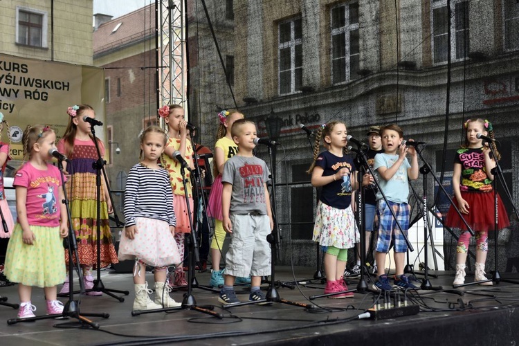 Koncert Arki Noego w Świdnicy